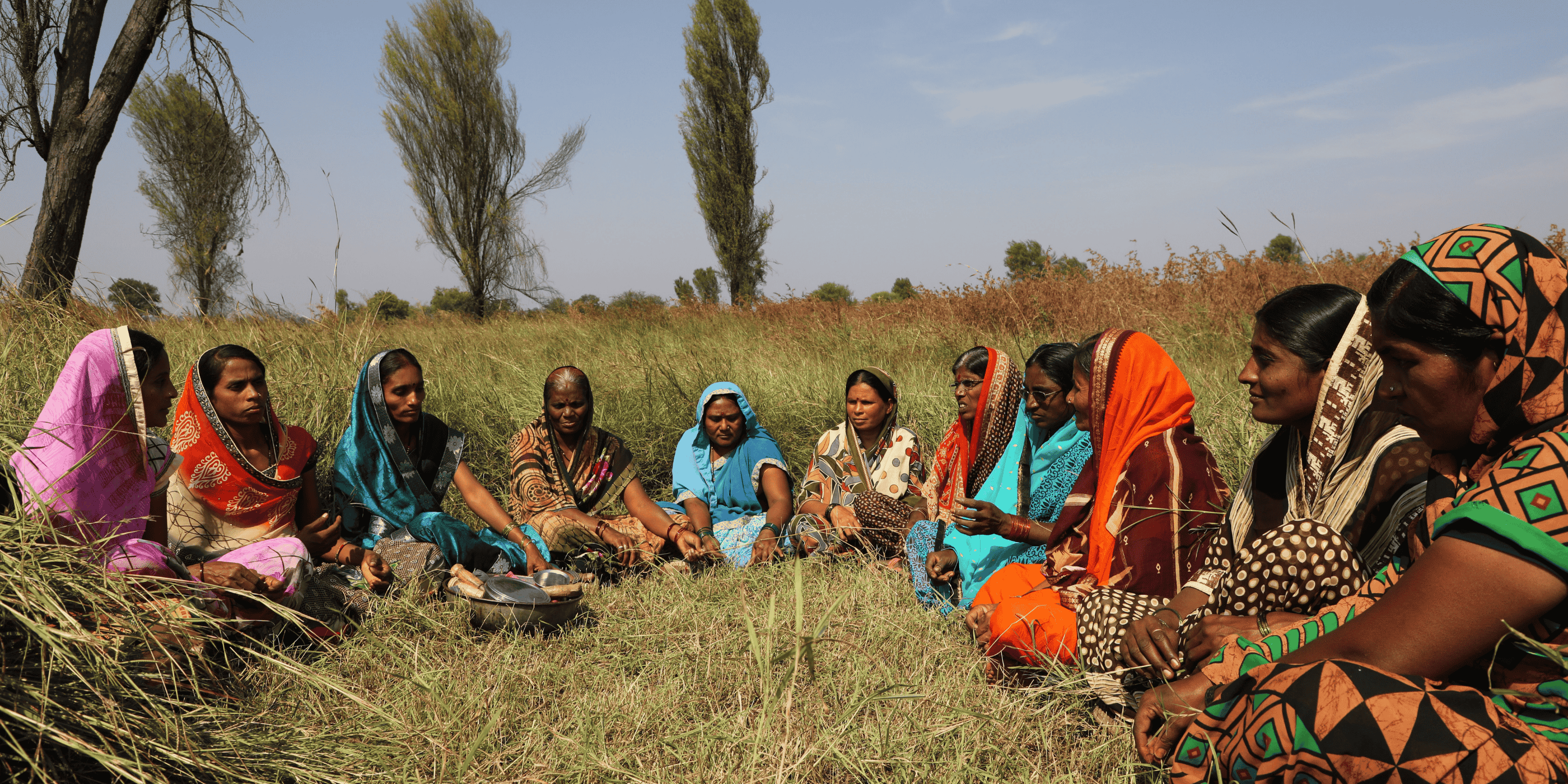 Accelerating India’s transition towards a land-based restoration economy for sustainable and resilient food and land use systems