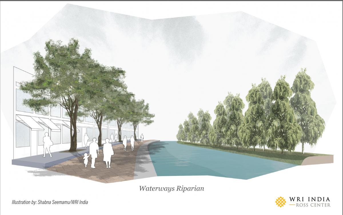 Waterways/riparian planting