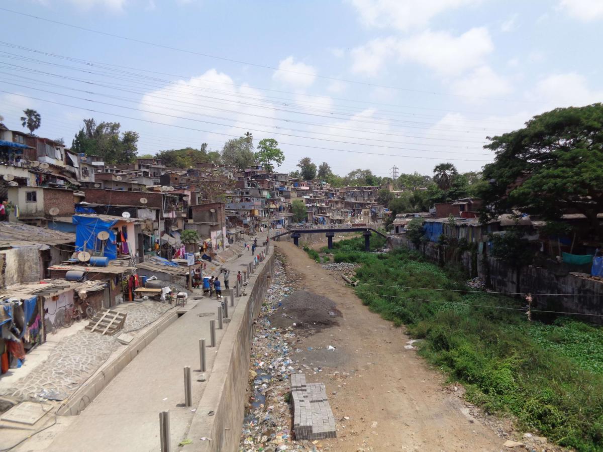 Water hyacinth and the flow of solid waste render the Mithi practically invisible at Gautam Nagar
