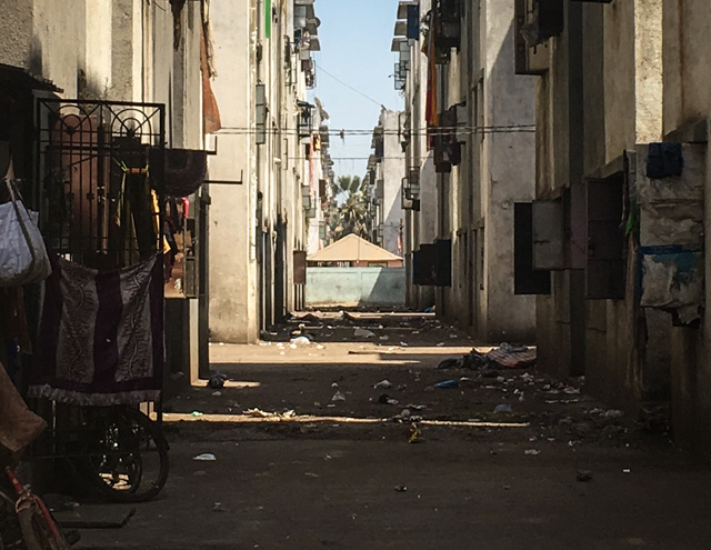 Photo Essay - Lubaina Rangwala 5