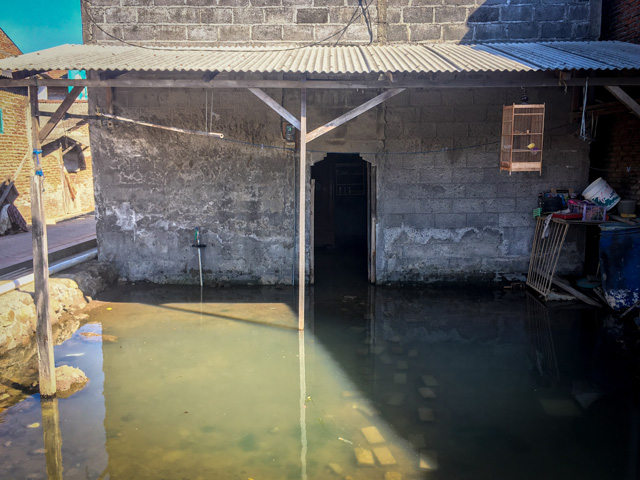 Photo Essay - Lubaina Rangwala 13