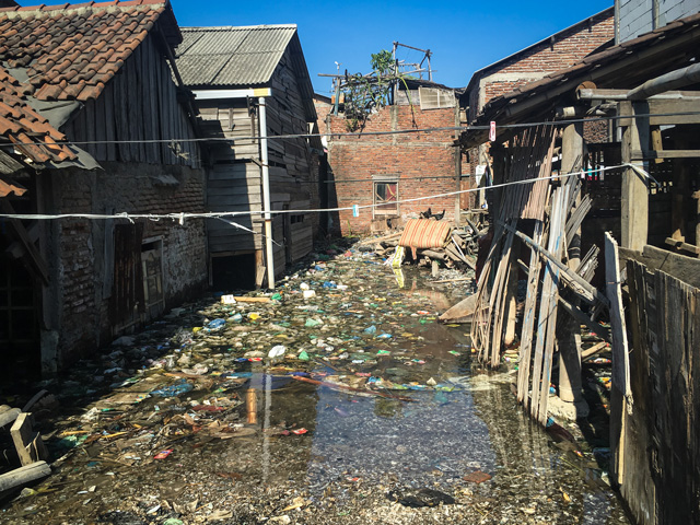 Photo Essay - Lubaina Rangwala 9