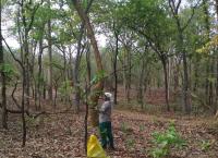 Forests and communities that inhabit them nurture each other and flourish together.