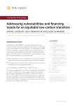 Addressing vulnerabilities and financing  needs for an equitable low-carbon transition