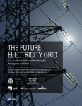 THE FUTURE ELECTRICITY GRID
