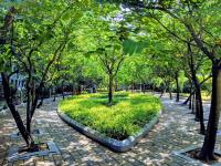 Planting trees is the easiest means to preserve and restore natural capital at scale. Photo by: Vishnu Prasad/unsplash