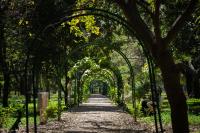 Cubbon Park, Bangalore. Photo by Pasqualino Capobianco/Unsplash.