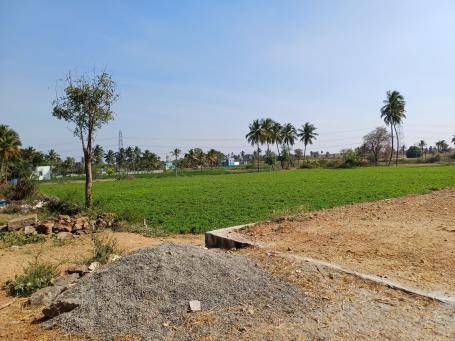 A farm with a drip irrigation system in drought-affected Alepuram village, Dharmapuri district in Tamil Nadu. Photo by Vishvak Kannan/WRI India.