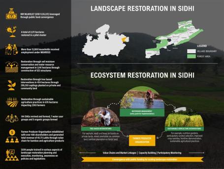 Landscape Restoration in Sidhi