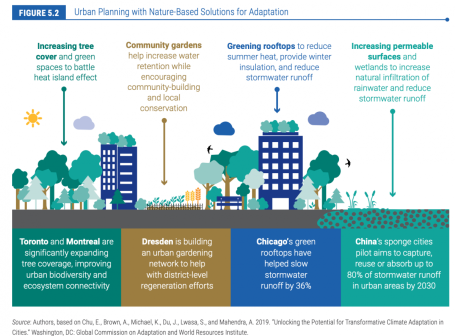 How cities integrate nature-based solutions for adaptation in urban planning.