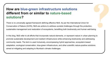 How are blue-green infrastructure solutions different from nature-based solutions?