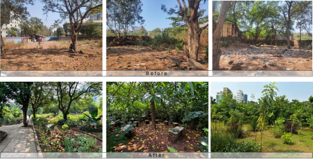 The industrial plot before and after being converted to the Marol Urban Forest showcases impact of nature-based solutions (NbS).