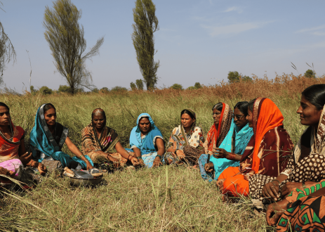 Accelerating India’s transition towards a land-based restoration economy for sustainable and resilient food and land use systems