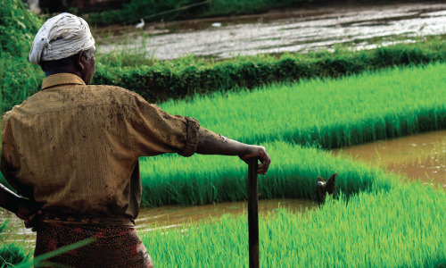 Financing Agricultural Resilience