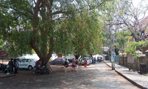 Urban green spaces can help maintain micro-climate conditions and improve thermal comfort by lowering the urban heat island effect.