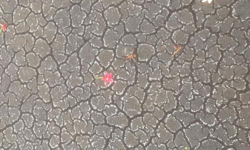 Photo credit: Kristina Egge