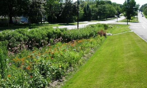Bioswale in median of road infrastructure in Wisconsin for stormwater management