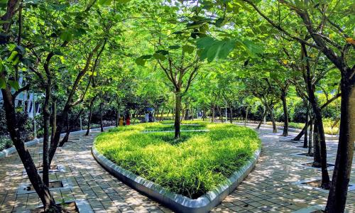 Planting trees is the easiest means to preserve and restore natural capital at scale. Photo by: Vishnu Prasad/unsplash