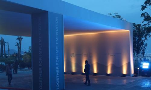 Carbon markets emerged as key instruments at COP27 in Egypt