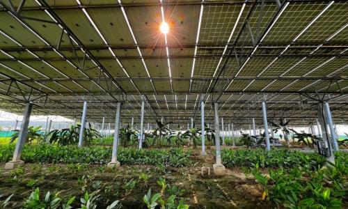 Photo by Shreyas Joshi/WRI India.