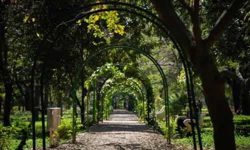 Cubbon Park, Bangalore. Photo by Pasqualino Capobianco/Unsplash.