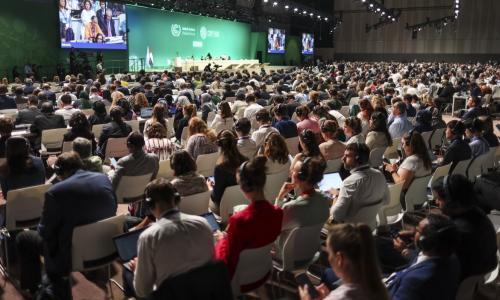 Uphill Task at Bonn and Baku Climate Negotiations: Finalize Carbon Market Rules