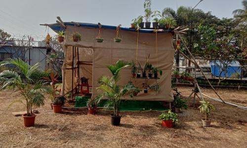 Demo micro-greening house showcasing community micro-greening initiatives in Mumbai. Photo by Priya Shinde/Transforming M Ward Project, Tata Institute of Social Sciences (TISS)