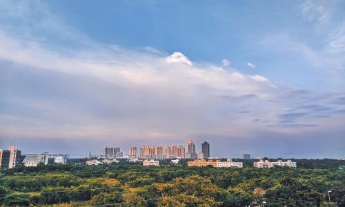 NbS can help address climate risks and contribute to mitigation and adaptation efforts