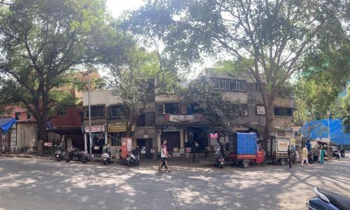 Old tamarind tree besides the author’s ancestral plot