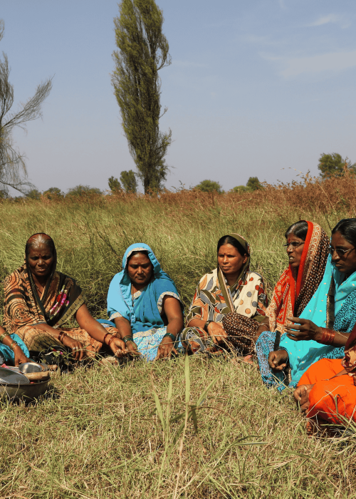 Accelerating India’s transition towards a land-based restoration economy for sustainable and resilient food and land use systems