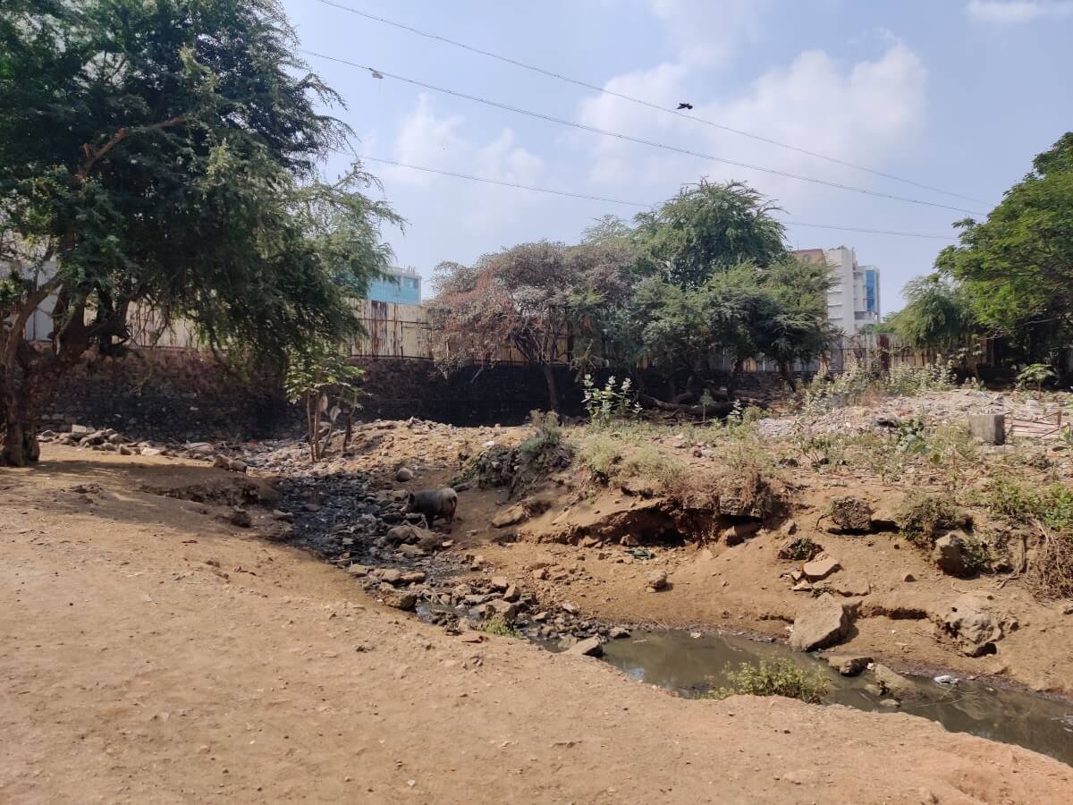 Wastewater flows from a settlement into the Mithi River through land reserved as an open space