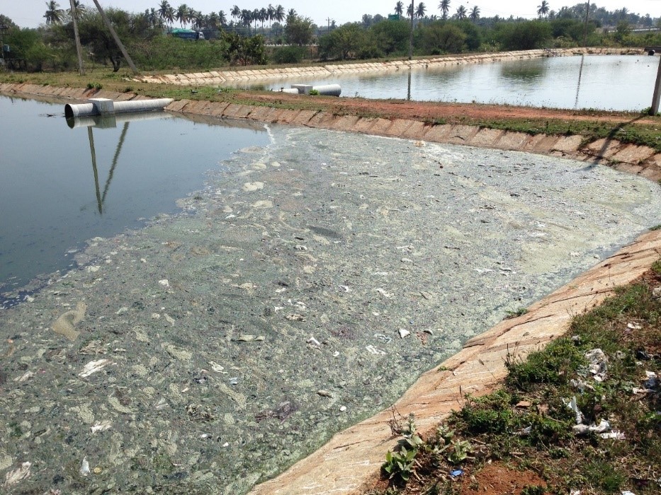 Wastewater treatment facilities in most towns are rudimentary, as shown here. Photo by Vittal Boggaram/WRI